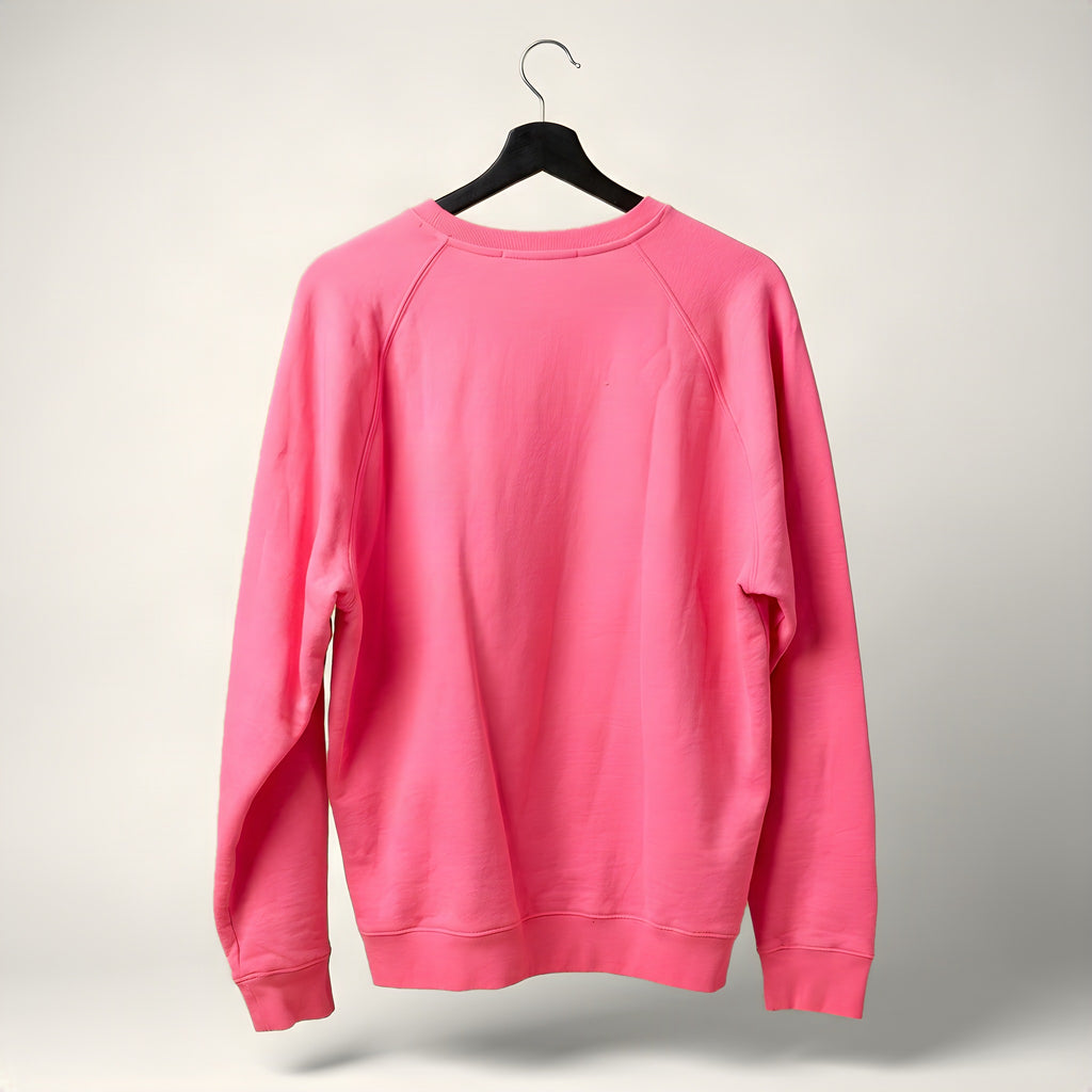 MSGM Milano pink sweatshirt, back