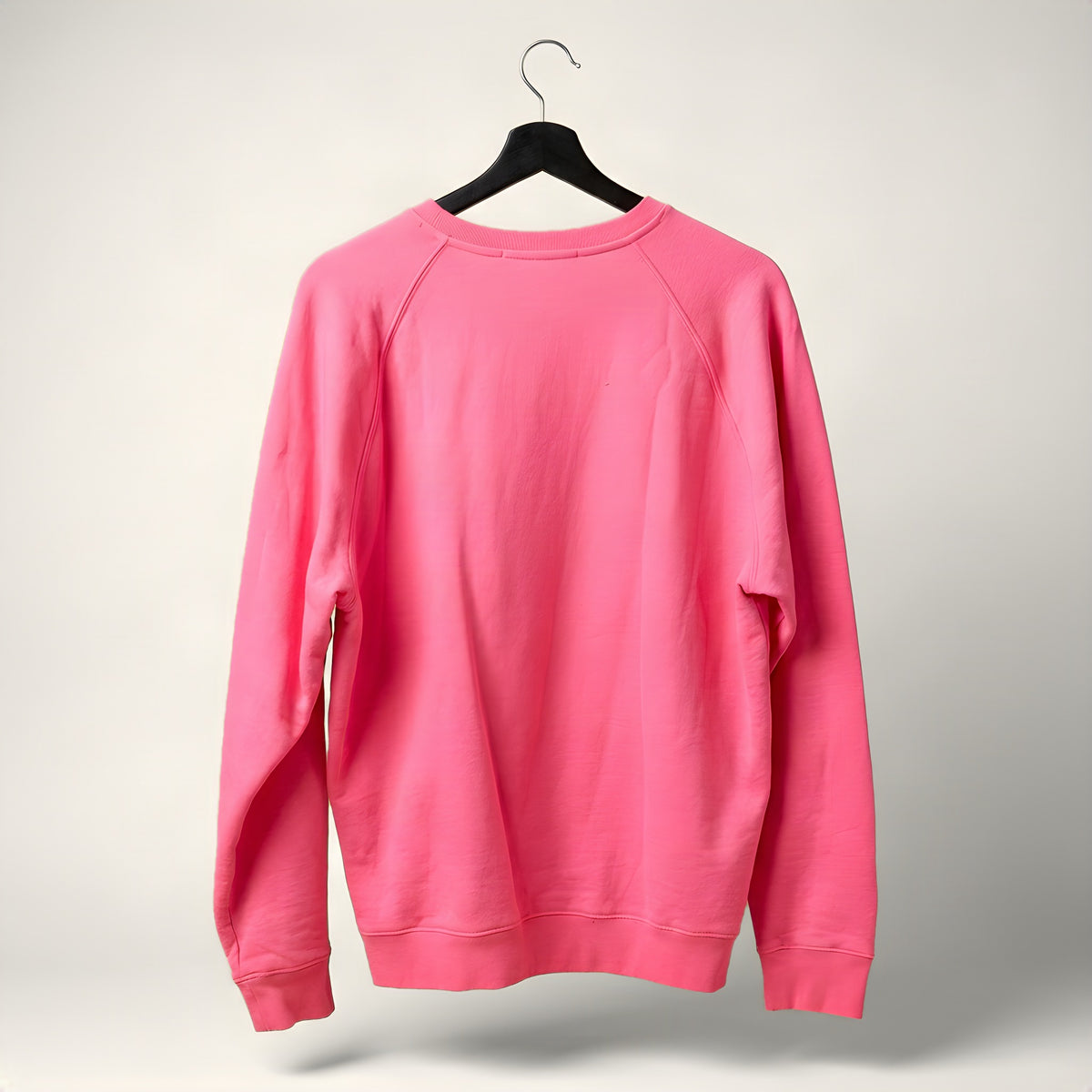 MSGM Milano pink sweatshirt, back